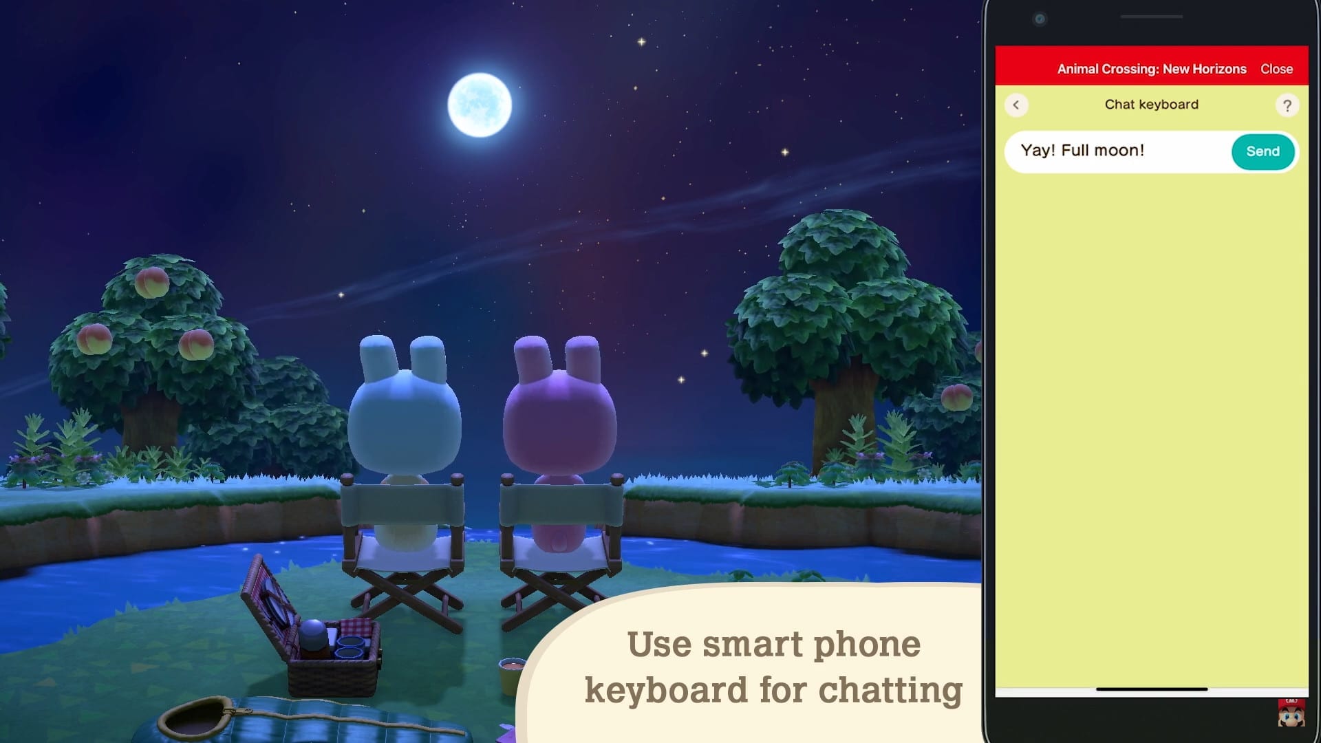 acnh chat