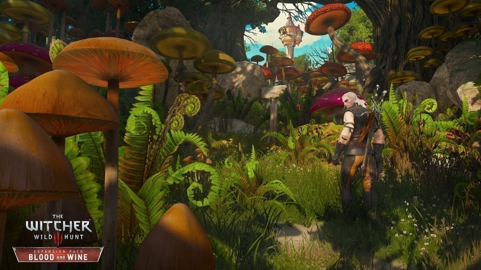 The Witcher 3 The Witcher 3