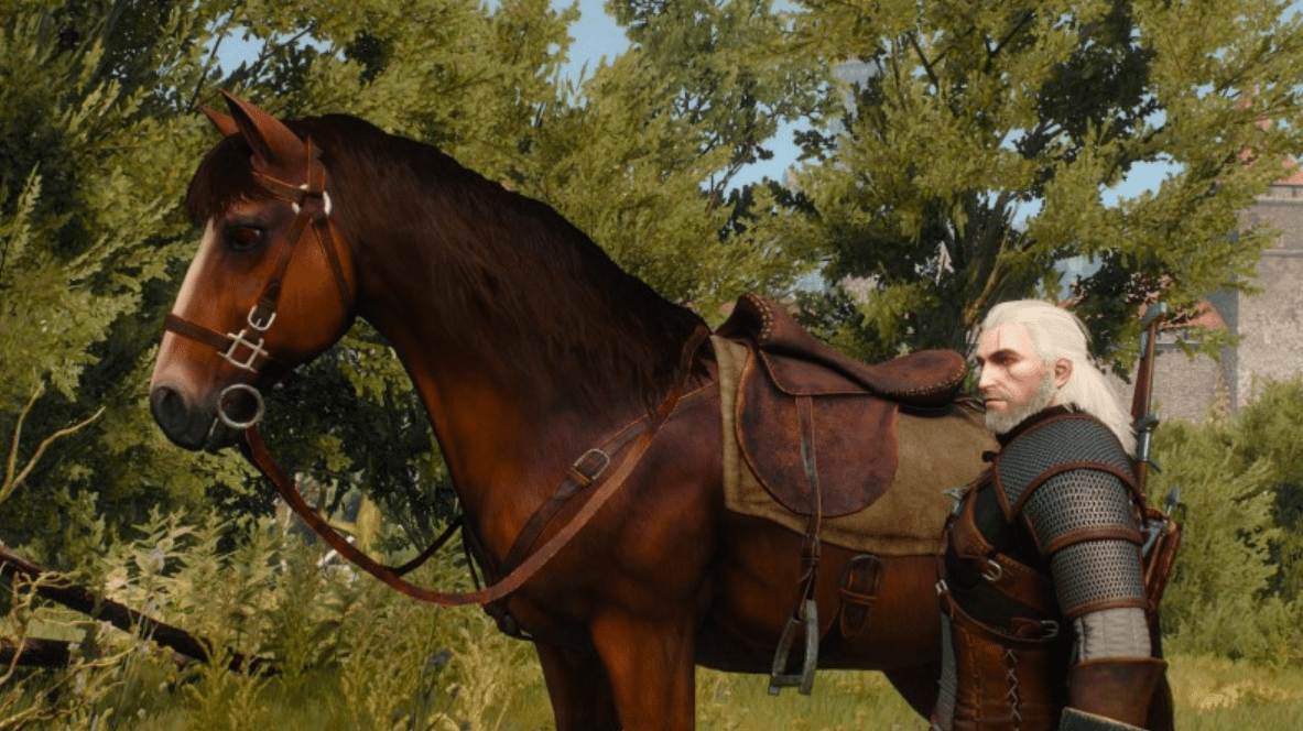 Horse2
