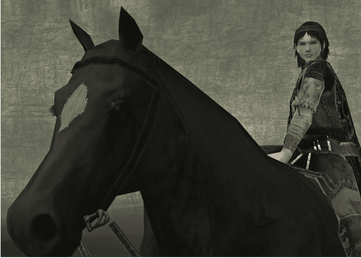 Horse3