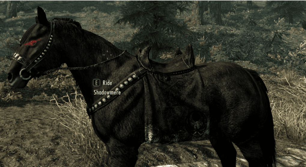 Horse6