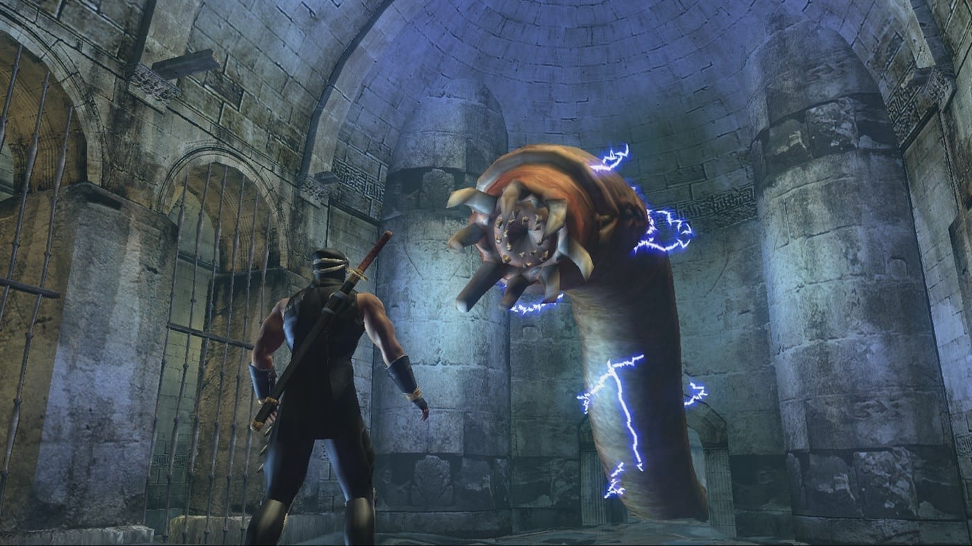 Ninja gaiden Ninja gaiden