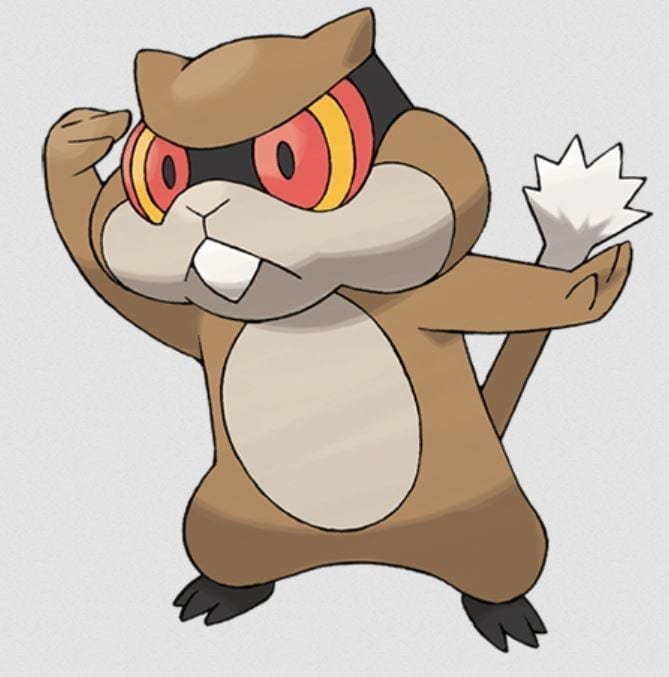 Groundhog Patrat Groundhog Patrat