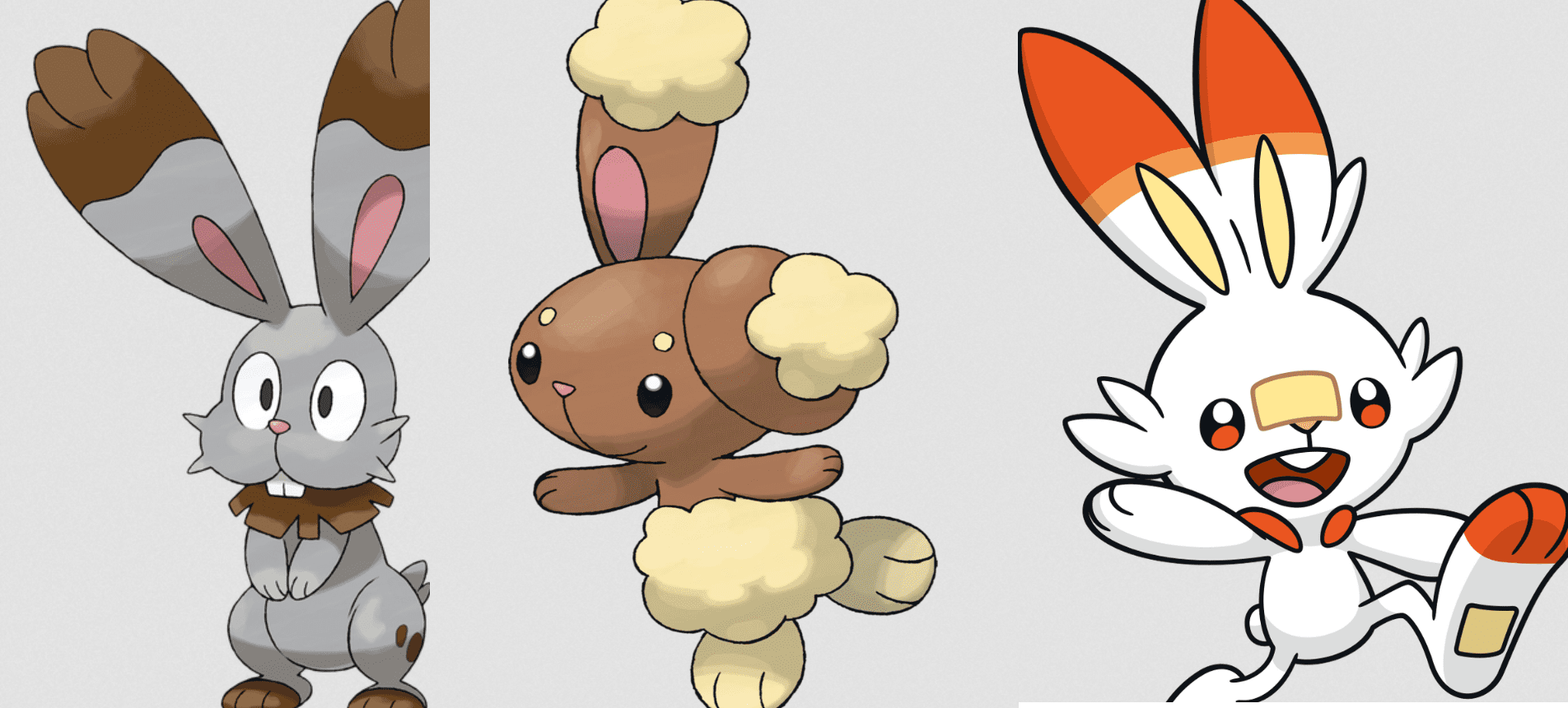 Bunny Pokemon