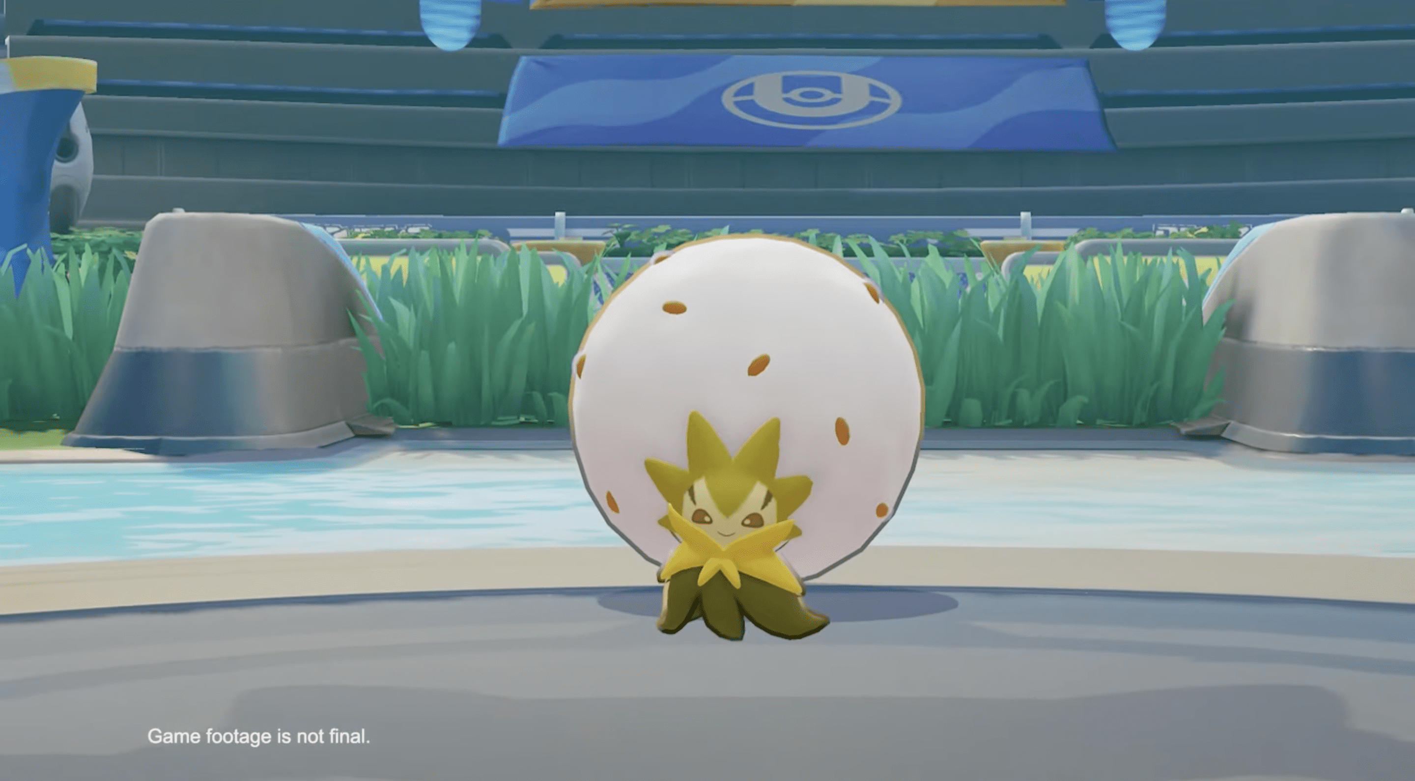 Eldegoss