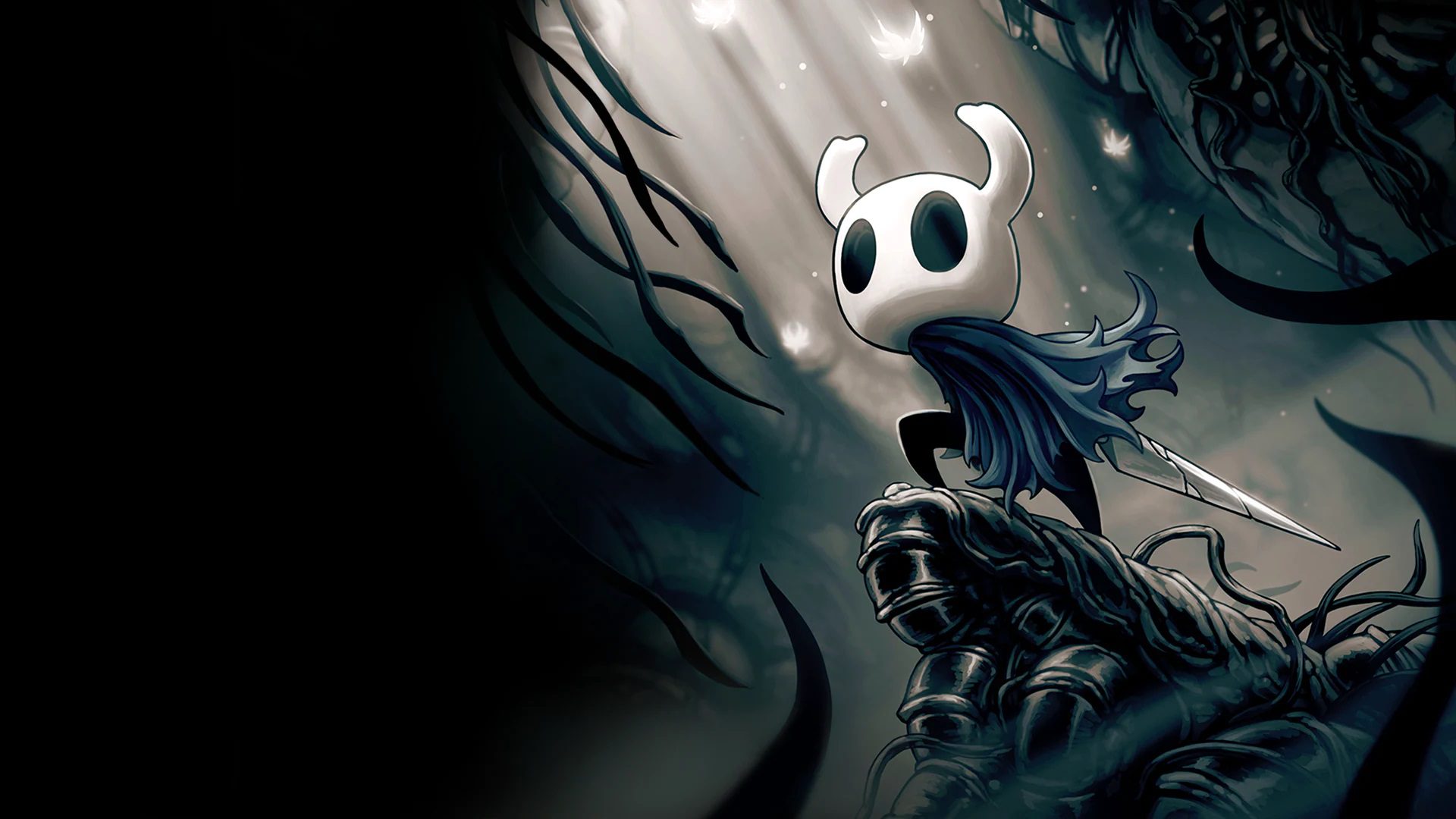 Hollow Knight Hollow Knight