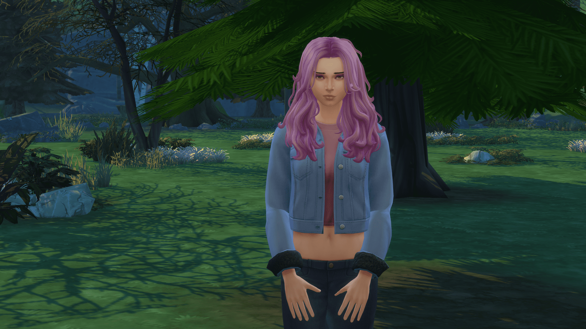 Sims4LegacyStardew