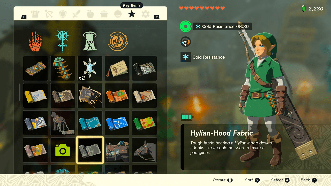 Likewise Rider Link only provides the Hylian Hood Fabric uniquely, but can provide lots of useful weapons and shields.