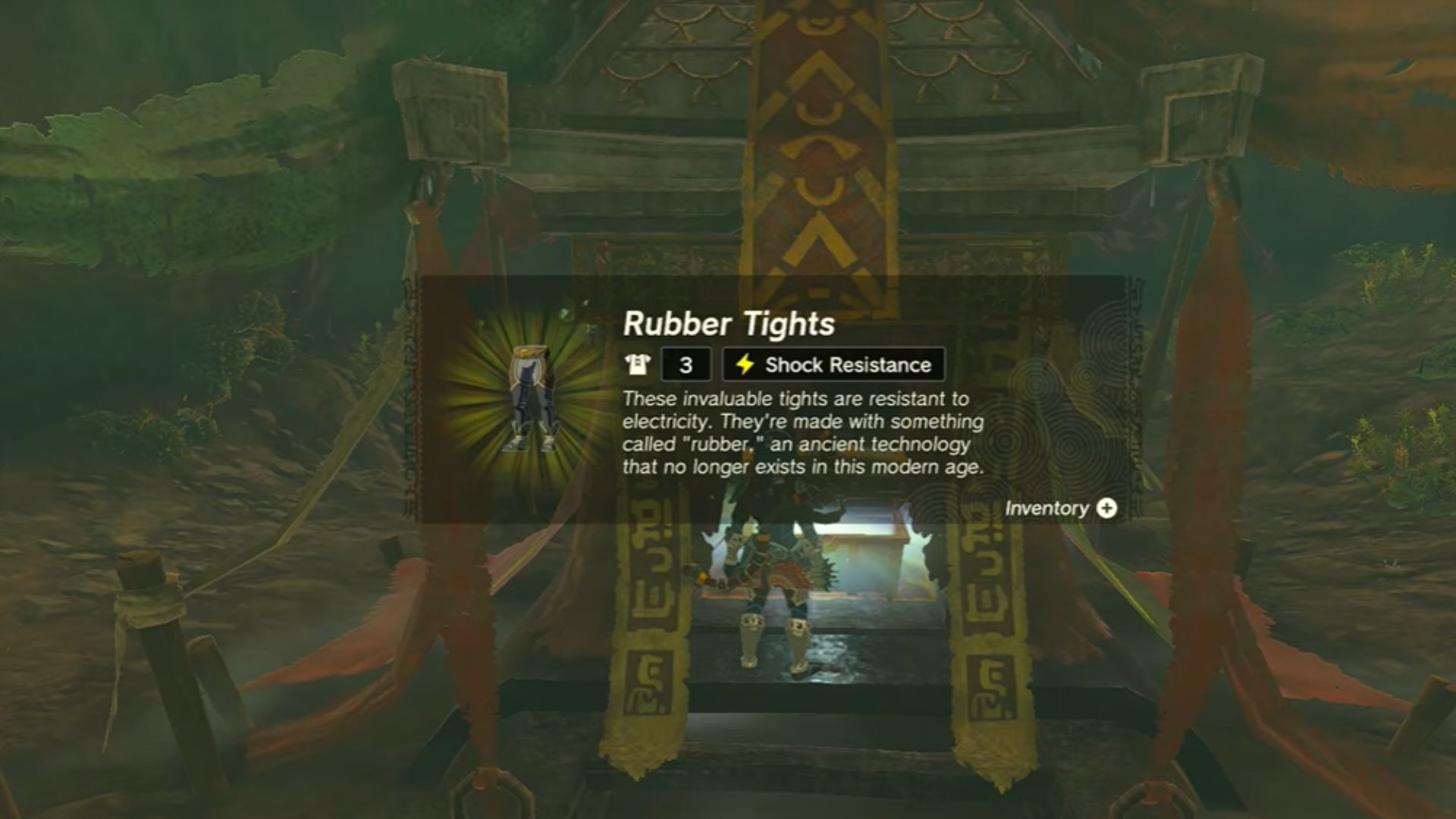 Zelda: Tears of The Kingdom Armor Tights Image 2