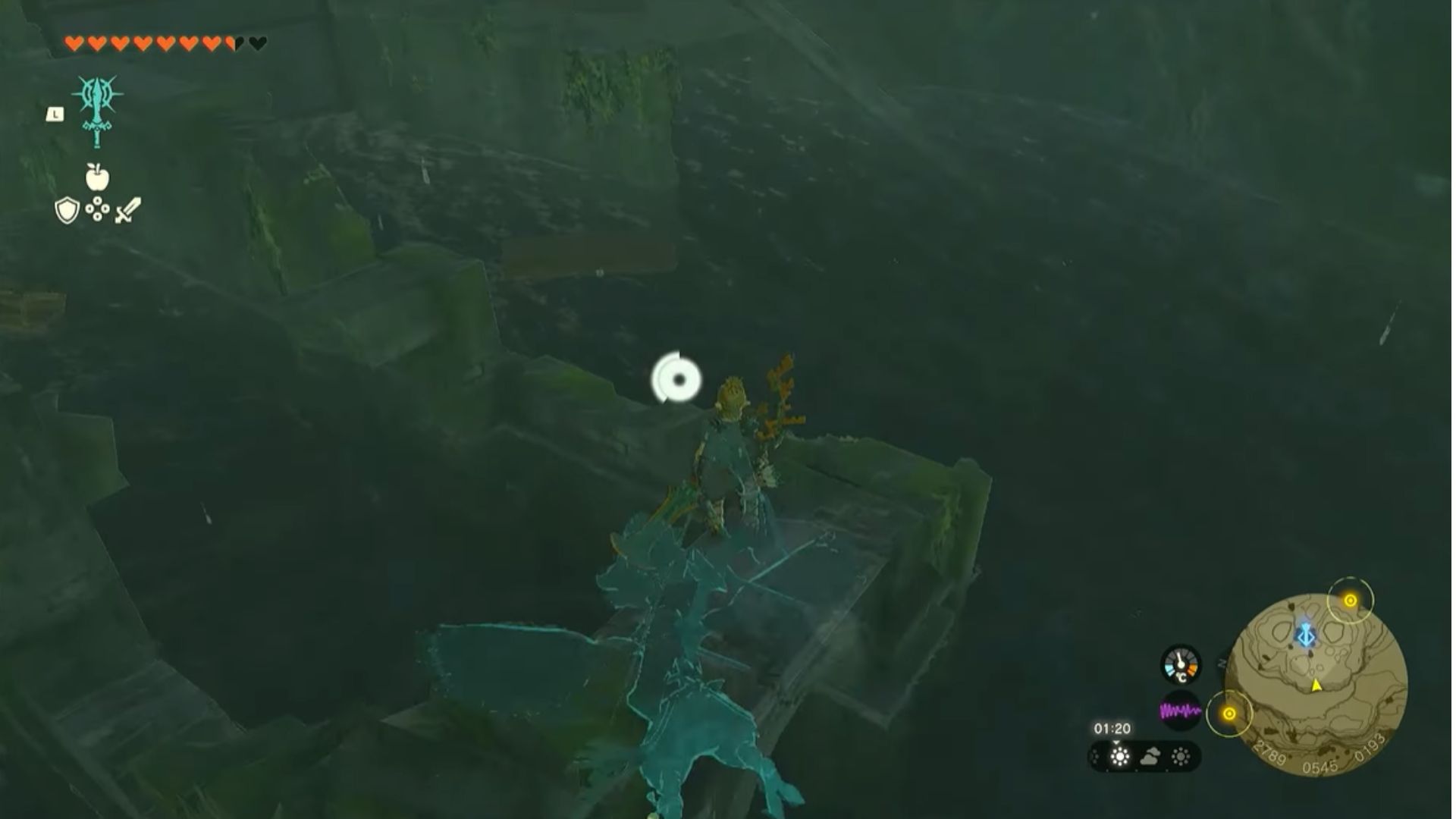 Zelda Tears of The Kingdom Flooded Room