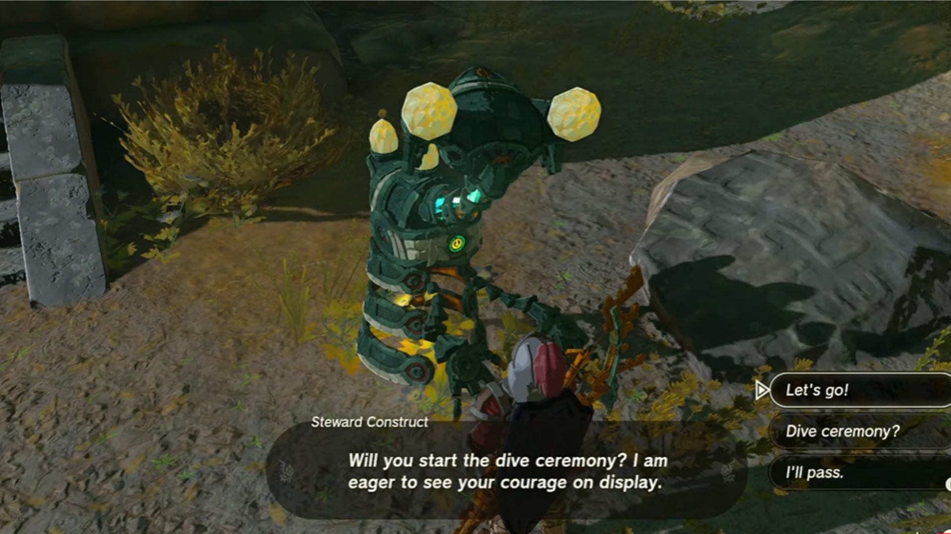 Steward Construct