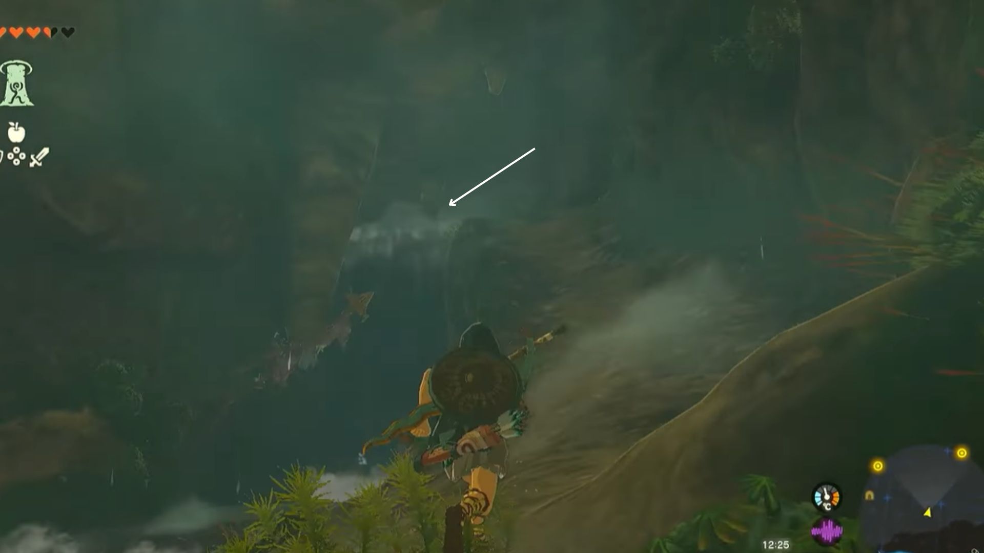 Zelda Tears of The Kingdom Water Fall