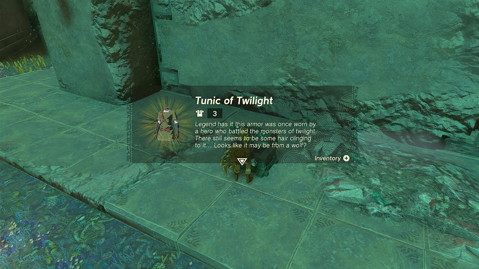 Zelda Tears of the Kingdom Tunic of Twilight