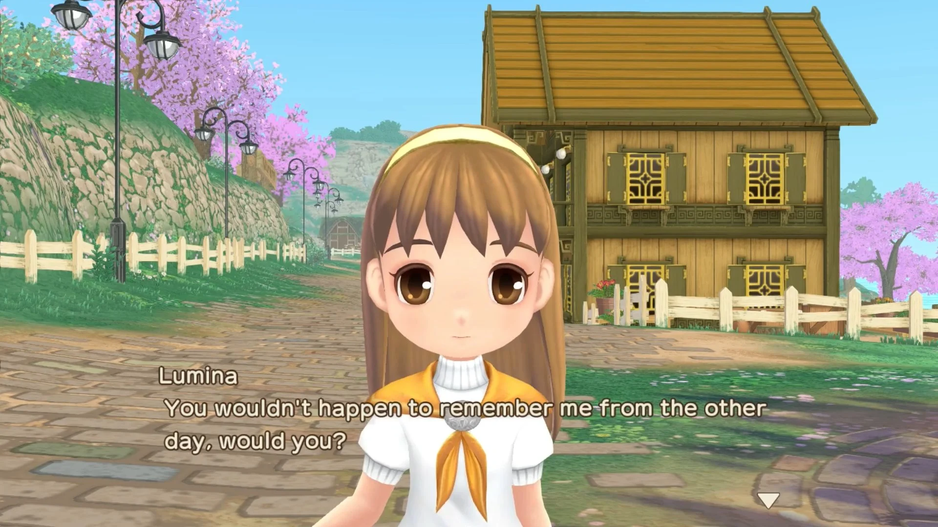 The meek Lumina from Story of Seasons A Wonderful Life