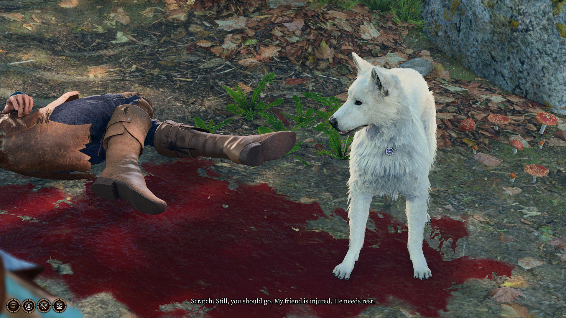A white dog next to a bloody corpse in Baldur's Gate 3.