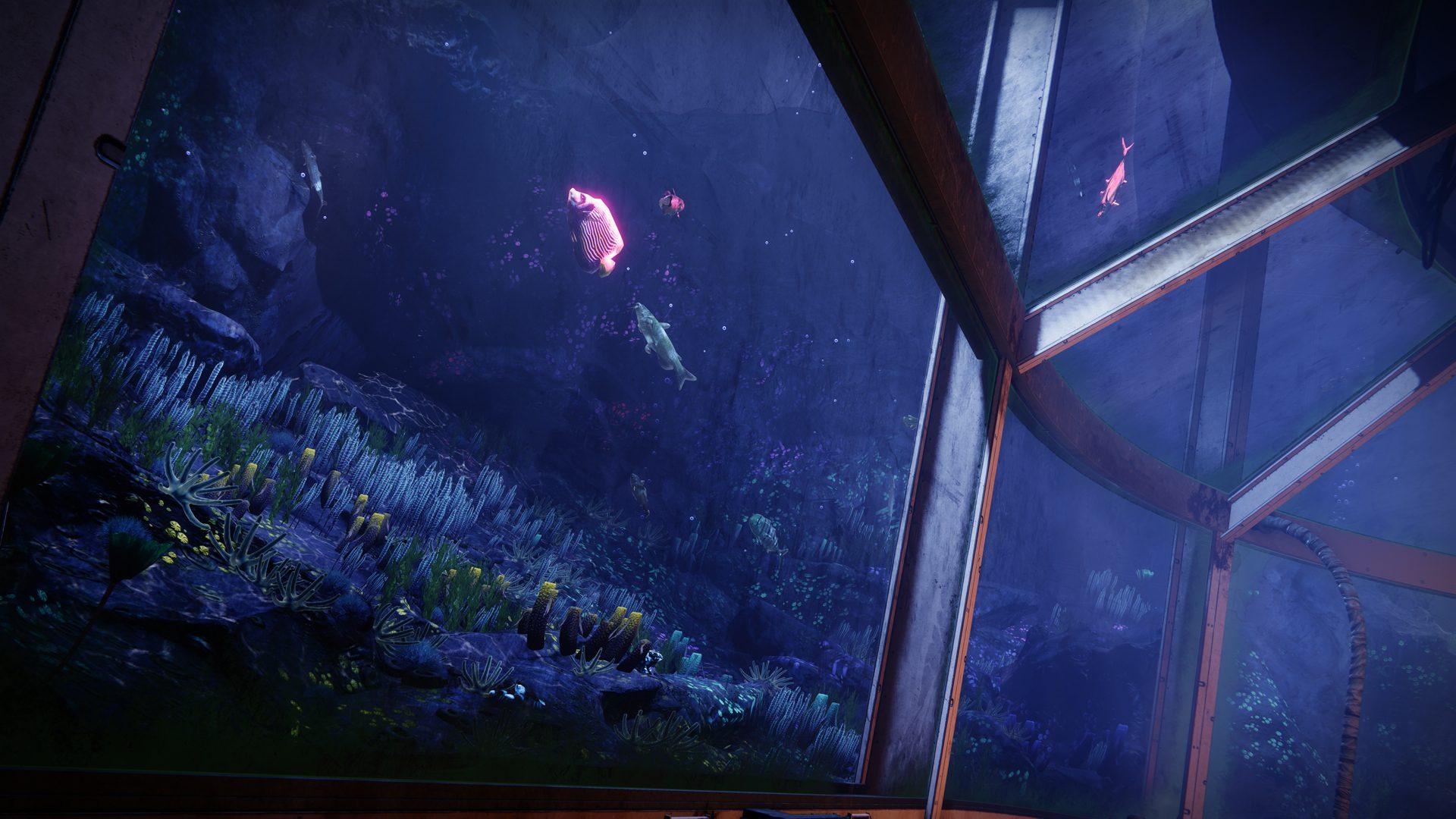 D2S21Recap05