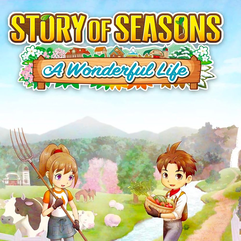 Story of Seasons A Wonderful Life