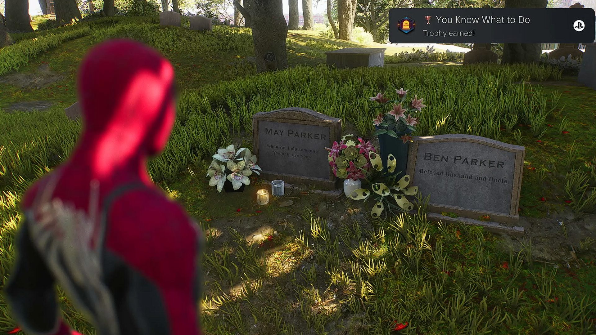 Spider Man 2 You Know What To Do Trophy Spider Man 2 You Know What To Do Trophy