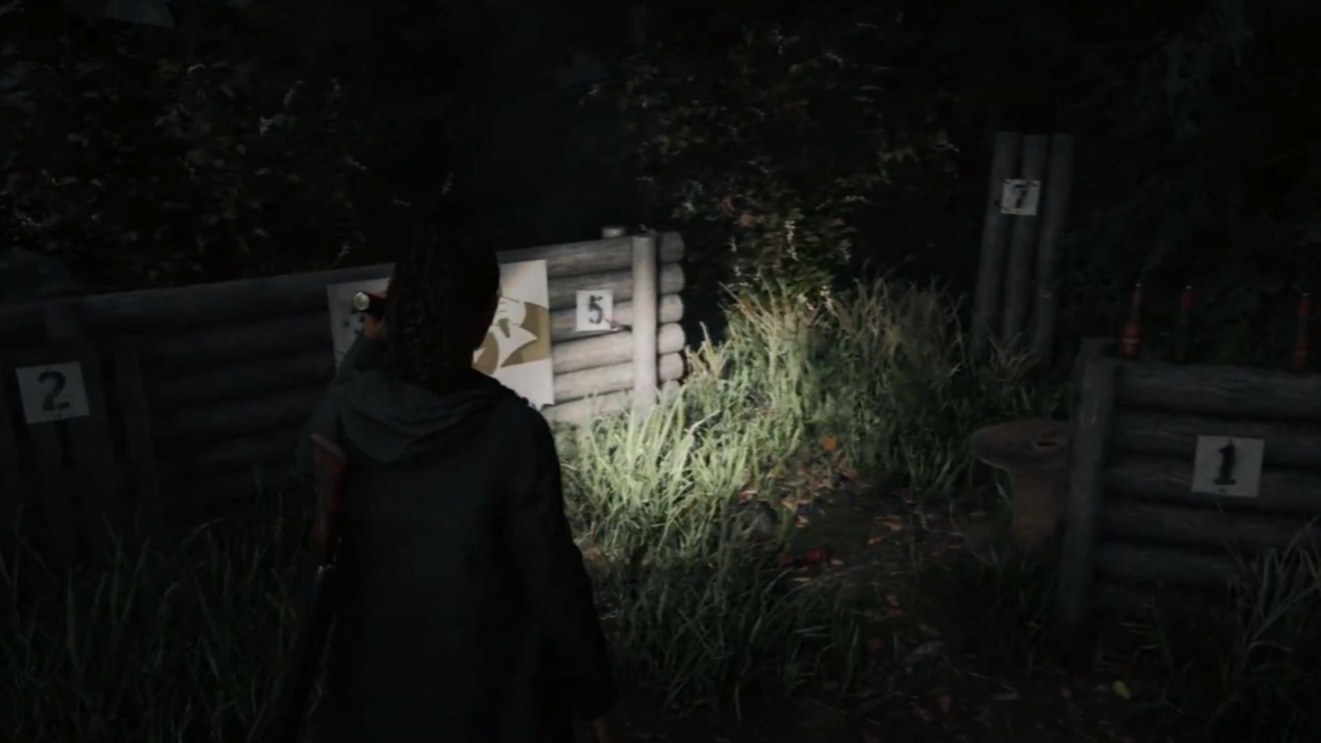 Alan Wake 2 Targets