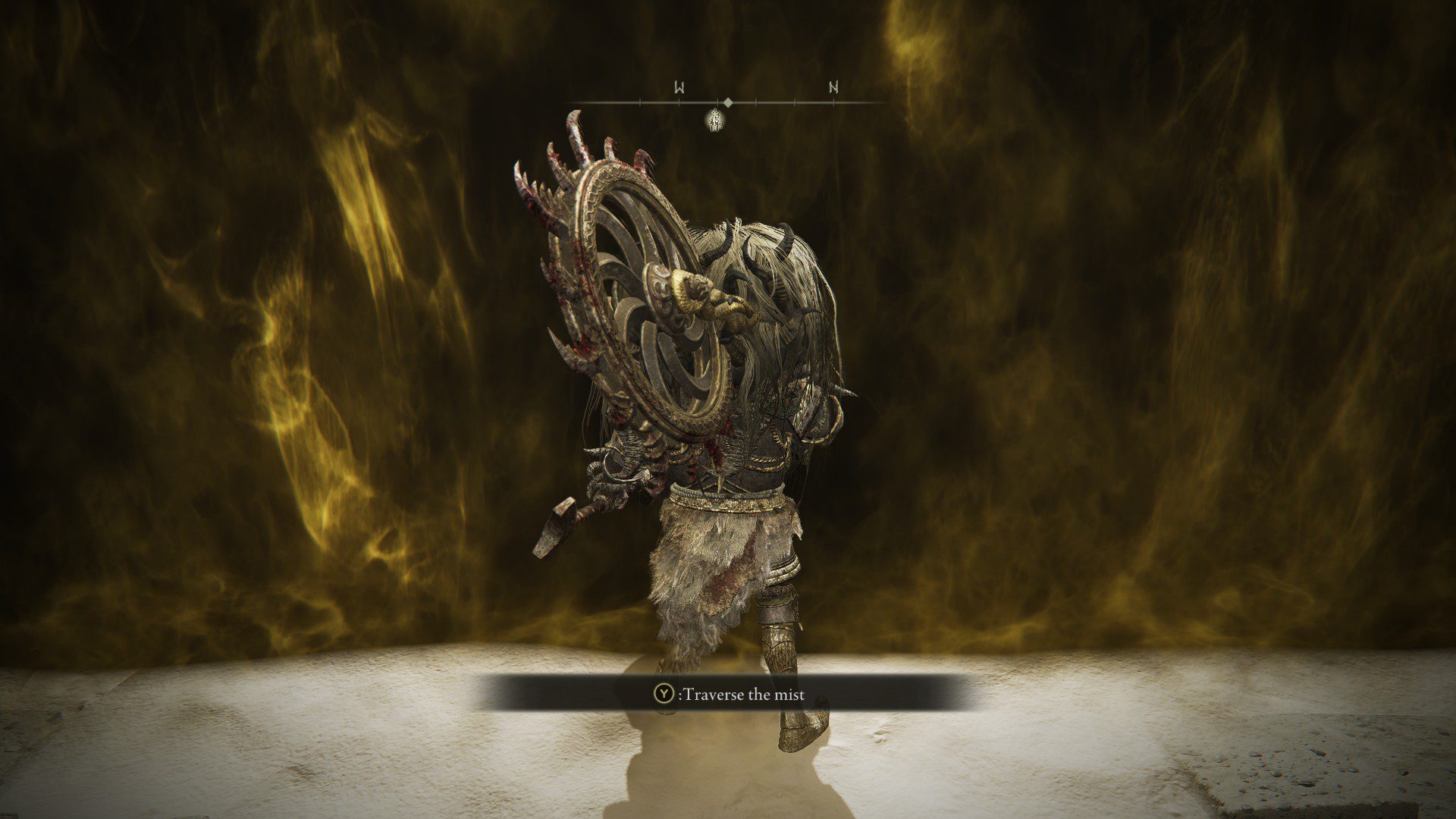 Standing in front of a mist gate, leading to a boss
