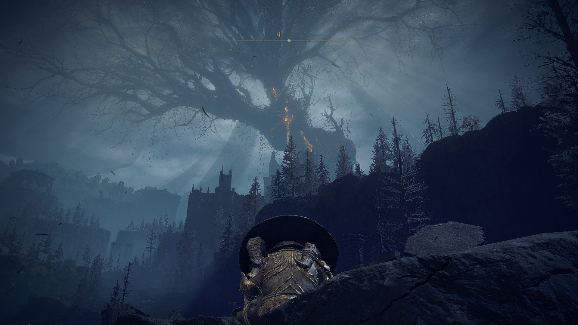 A gray look into the Scadutree: the Shadow Land's version of the Erdtree