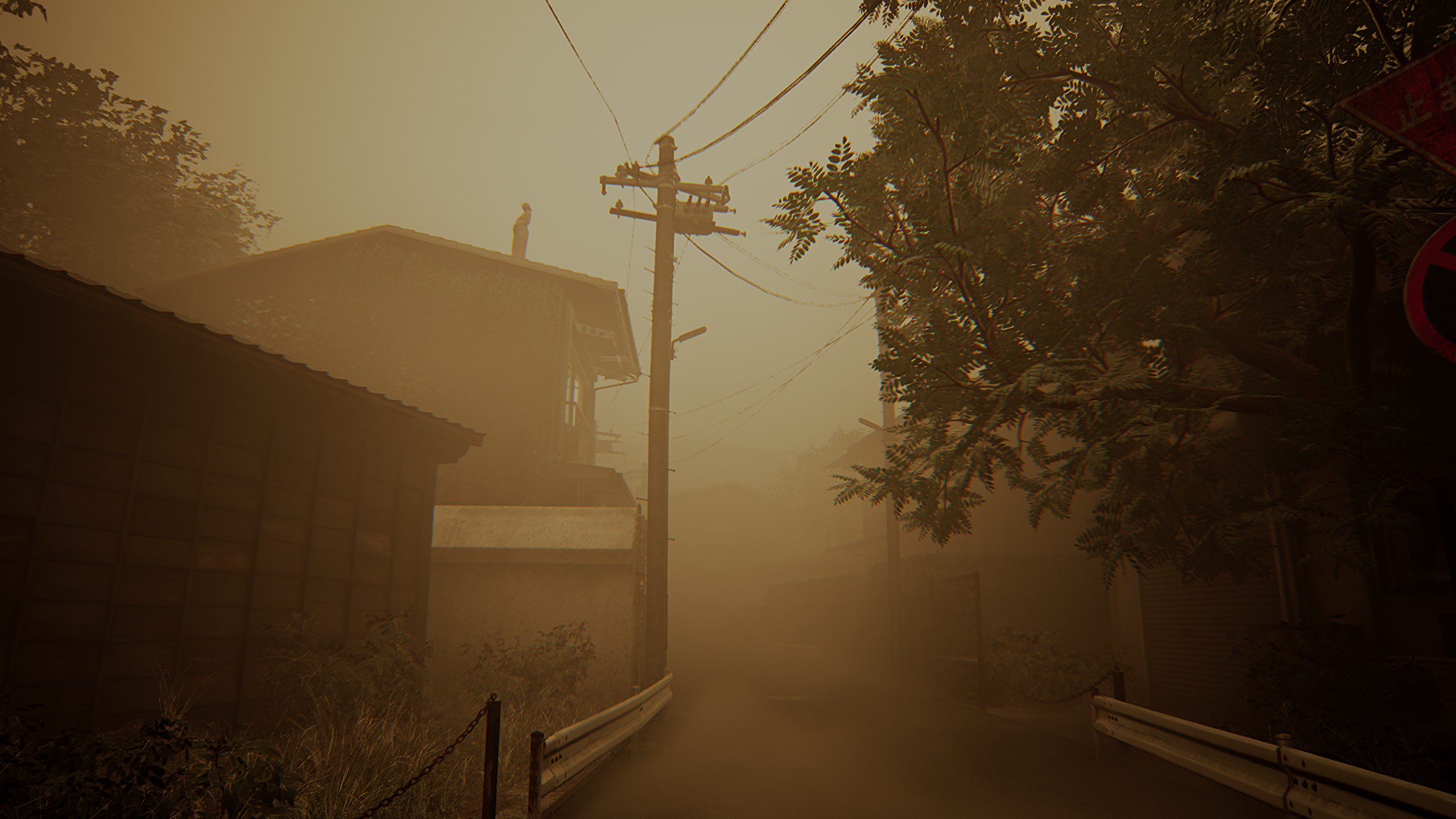 20250226203405 1