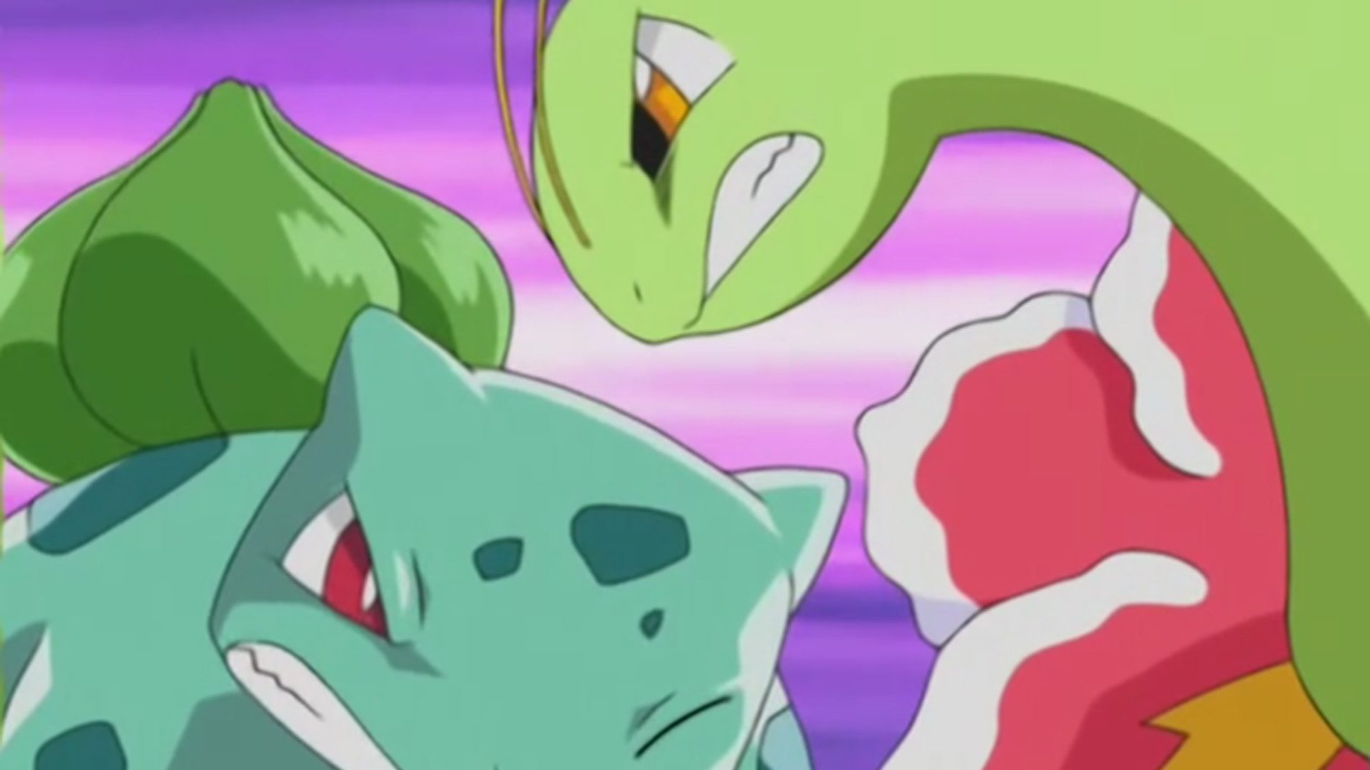 Bulbasaur and Meganium fighting