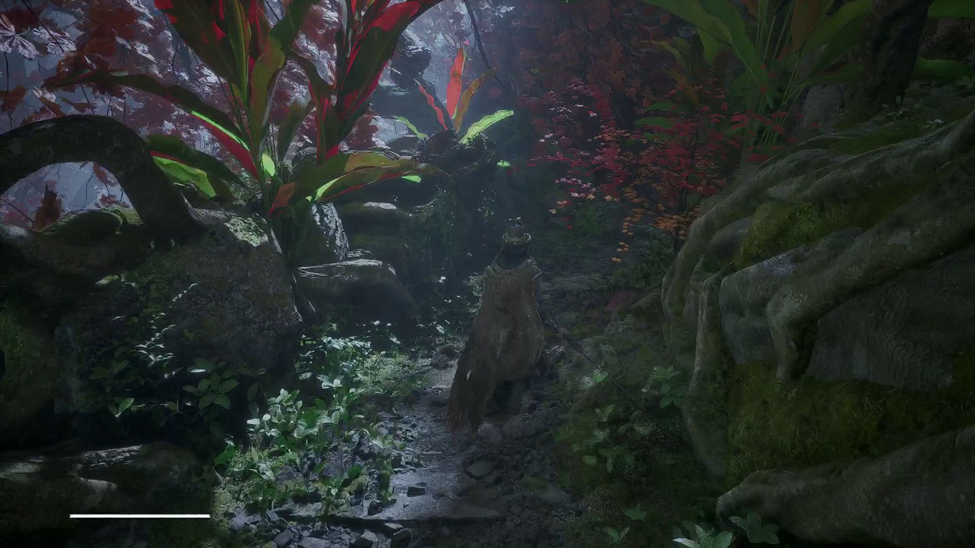 Wuchang is exploring a forest area.