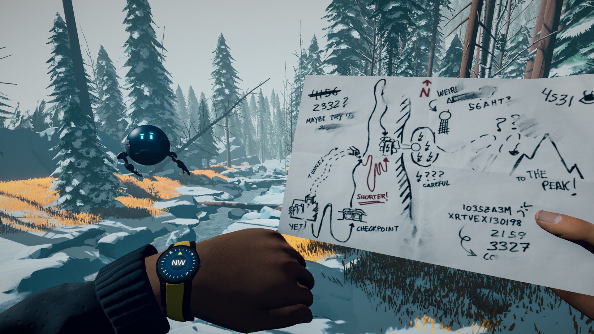 arctic